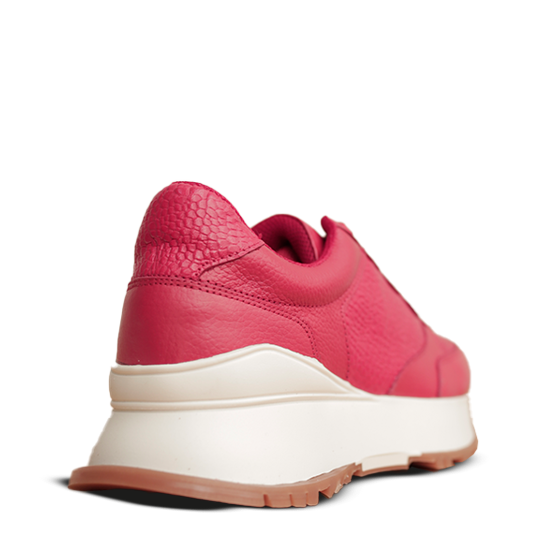 Zapato Sneaker Ciliberti Mujer CBGEN002
