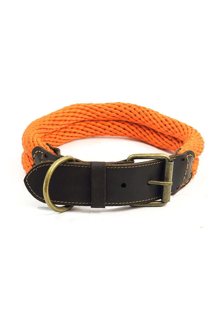 Collar San Polos Mascotas VC001 Naranja