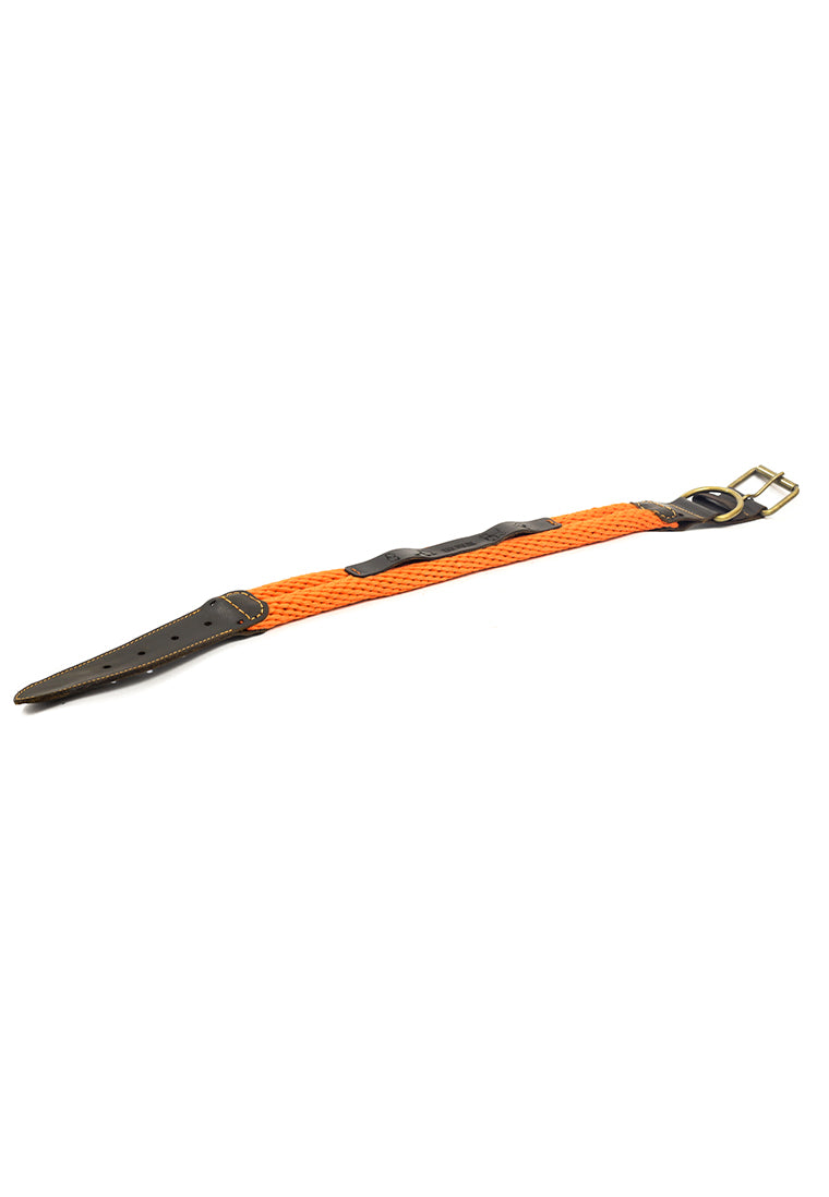 Collar San Polos Mascotas VC001 Naranja