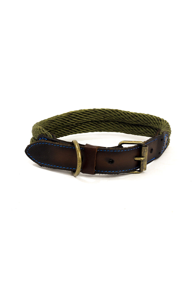 Collar San Polos Mascotas VC021 Verde