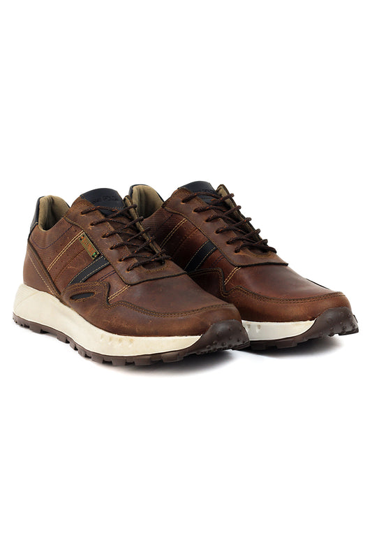 Zapatos San Polos Sneakers Hombre 3531 Coñac