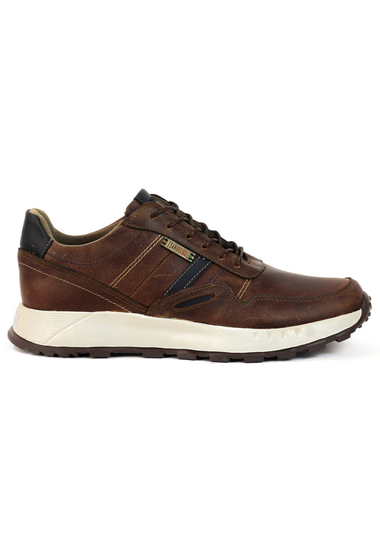 Zapatos San Polos Sneakers Hombre 3531 Coñac