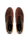 Zapatos San Polos Sneakers Hombre 3531 Coñac