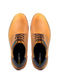 Zapatos San Polos Casual Hombre 3215 Hampton Miel