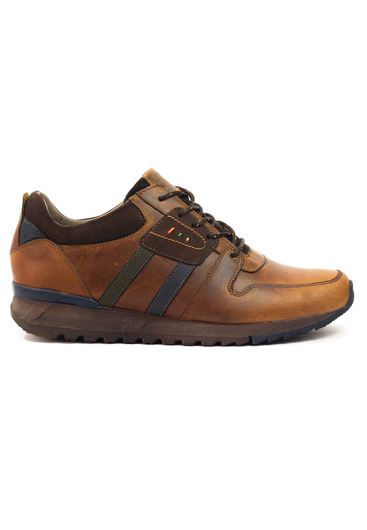 Zapatos San Polos Sneakers Hombre 3250 Hampton Miel