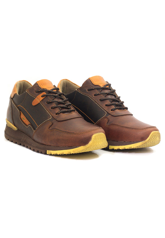 Zapatos San Polos Sneakers Hombre 3376 Miel