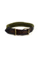 Collar San Polos  Mascotas VC021 Verde