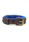 Collar San Polos  Mascotas VC080 Azul